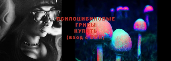 PSILOCYBIN Переславль-Залесский