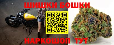 стаф Кингисепп