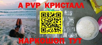 стаф Кингисепп