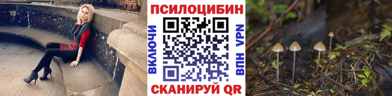 Галлюциногенные грибы Cubensis дарнет шоп Славянск-на-Кубани