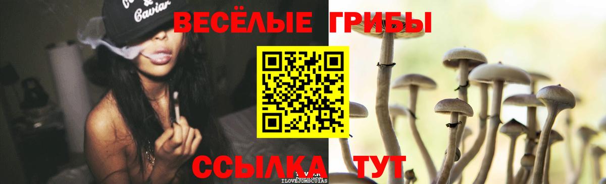 Галлюциногенные грибы мицелий Славянск-на-Кубани